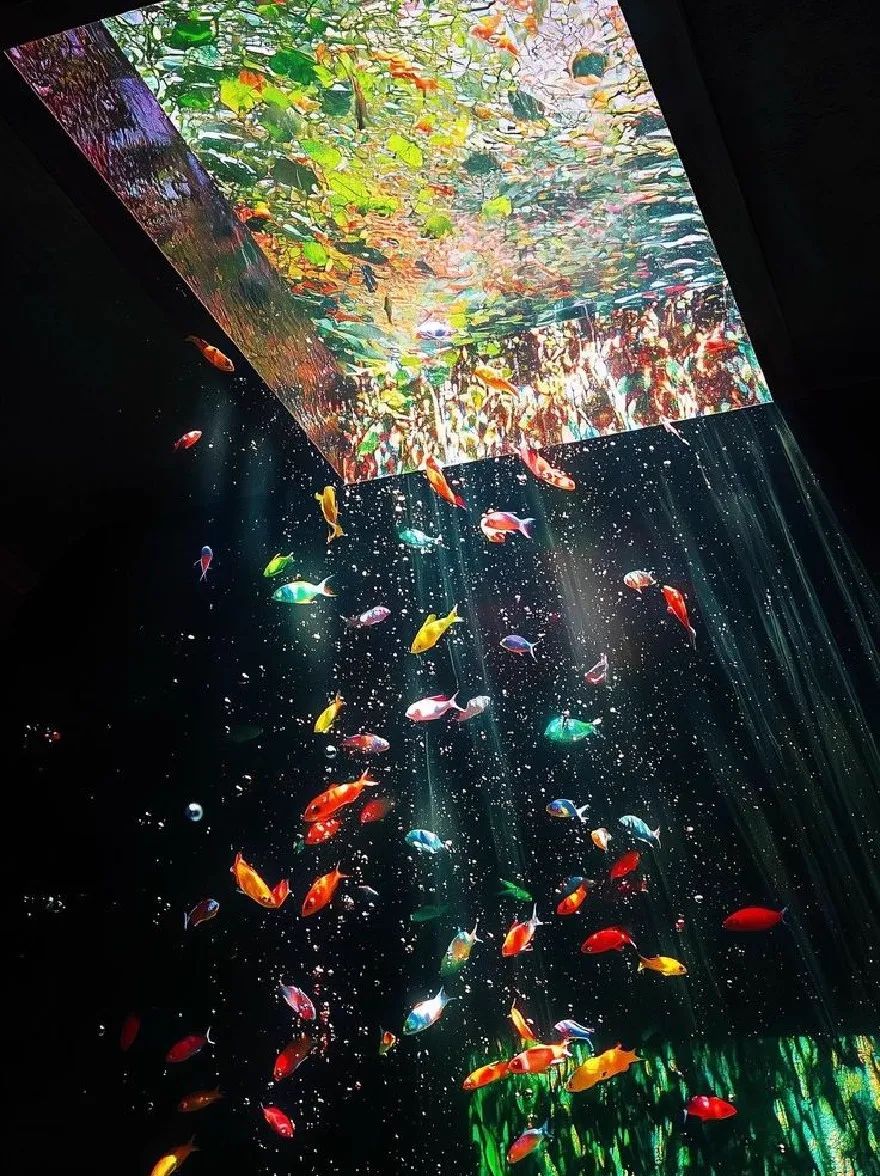 Русский промпт: A mesmerizing display of colorful fish swimming in a dark room with a large, abstract projection screen at the top, creating a mesmerizing effect. The aquarium is filled with a variety of small, colorful fish, including red, yellow, blue, green, and white, and is illuminated by a multitude of light rays streaming down from the screen, creating an ethereal atmosphere. The background is completely dark, allowing the vibrant colors of the fish to stand out even more. The overall effect is one of awe and wonder, with the fish seemingly moving and interacting with the light, making it a captivating and mesmerizing sight. | Original prompt: A mesmerizing display of colorful fish swimming in a dark room with a large, abstract projection screen at the top, creating a mesmerizing effect. The aquarium is filled with a variety of small, colorful fish, including red, yellow, blue, green, and white, and is illuminated by a multitude of light rays streaming down from the screen, creating an ethereal atmosphere. The background is completely dark, allowing the vibrant colors of the fish to stand out even more. The overall effect is one of awe and wonder, with the fish seemingly moving and interacting with the light, making it a captivating and mesmerizing sight.