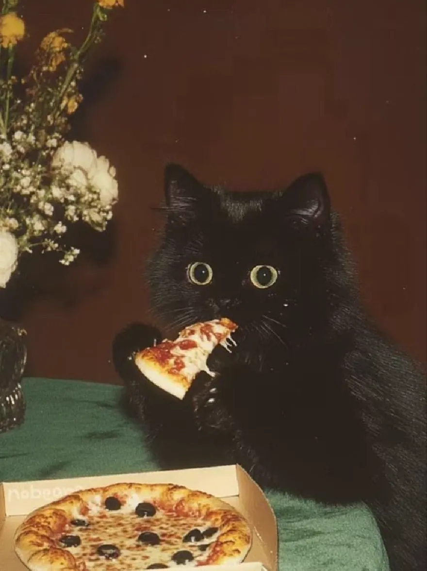 Русский промпт: A black cat sitting on a green tablecloth, eating a slice of pizza from a cardboard box. The cat has green eyes and is looking intently at the pizza. On the left side of the table, there is a vase with white and yellow flowers. The background is a dark brown wall. The image has a vintage feel to it, with a soft, warm color palette. | Original prompt: A black cat sitting on a green tablecloth, eating a slice of pizza from a cardboard box. The cat has green eyes and is looking intently at the pizza. On the left side of the table, there is a vase with white and yellow flowers. The background is a dark brown wall. The image has a vintage feel to it, with a soft, warm color palette.